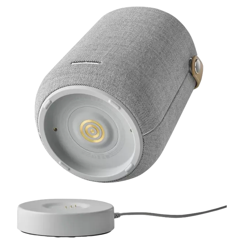 Портативная колонка Harman Kardon Citation 200, Серый 5