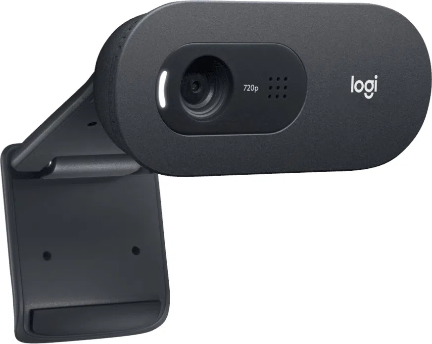Camera Web Logitech C505 HD 3
