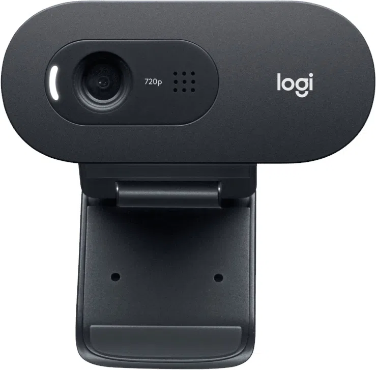 Camera Web Logitech C505 HD 2