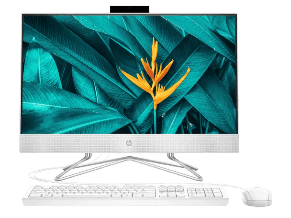 Computer All-in-One HP 200 Pro G4 22, 21,5", Intel Core i3-10110U, 8GB/256GB, Windows 10 Pro 64-bit, Alb