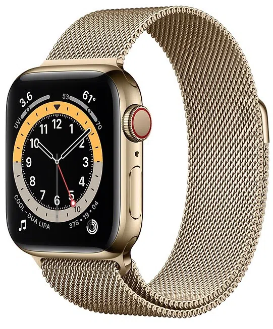 Smartwatch Apple Watch Series 6 GPS + Cellular 40mm Gold with Gold Milanese Loop (M06W3) 2