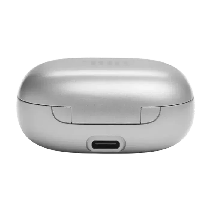 Наушники JBL LIVE Flex, Серебристый 9