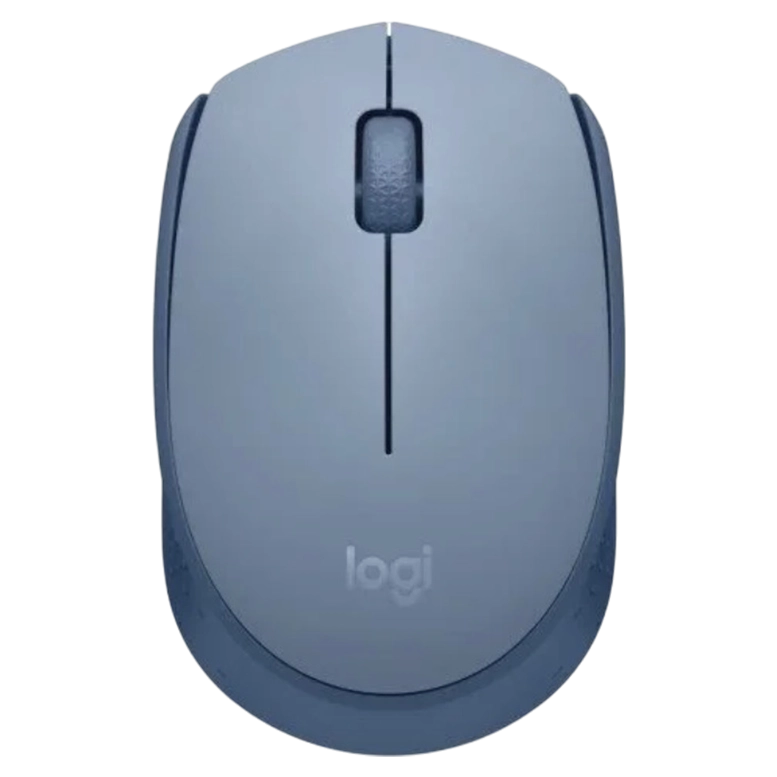 Компьютерная мышь Logitech M171 Blue Gray