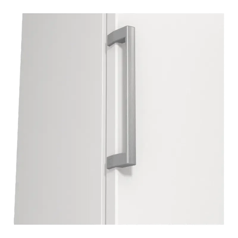 Морозильник Gorenje FN619FEW5 10