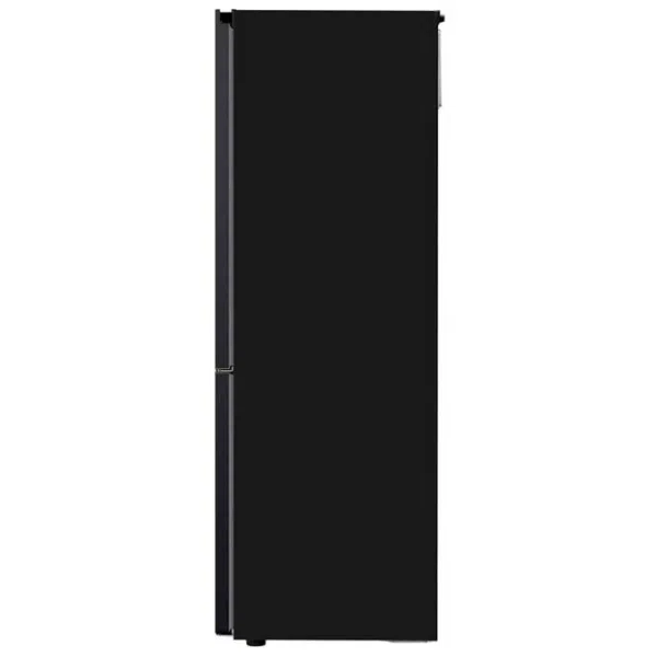 Холодильник LG GBV3100EEP, Black 9