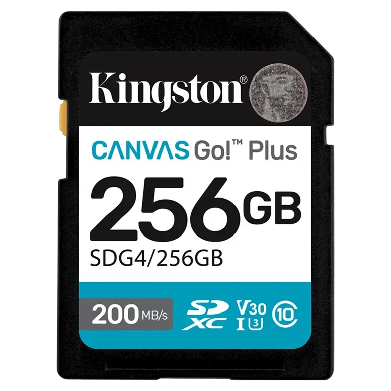 Карта памяти Kingston Canvas Go! Plus, 256Гб