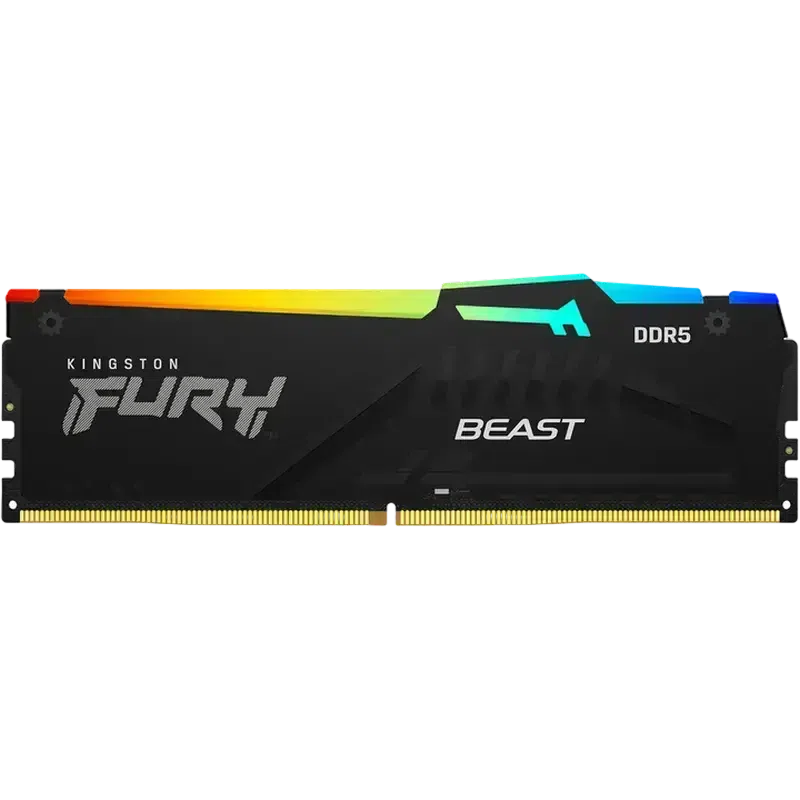Оперативная память Kingston FURY Beast RGB, 16ГБ, Черный 2