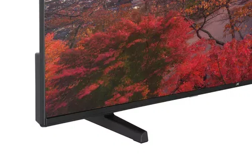 Televizor JVC LT55VA3300, Black 4