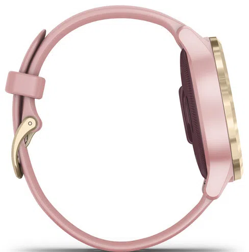 Смарт-часы Garmin Vivoactive 4S Dust Rose (010-02172-34) 4