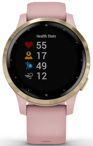 Смарт-часы Garmin Vivoactive 4S Dust Rose (010-02172-34) 2