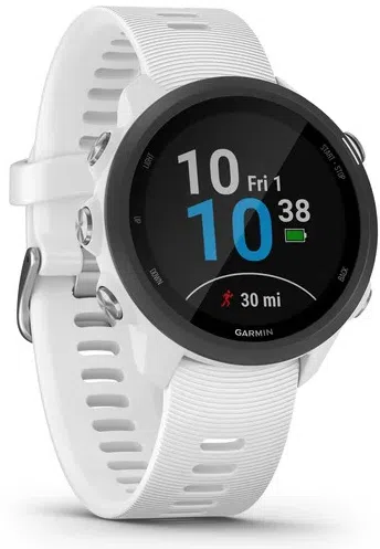 Пульсометр Garmin Forerunner 245 Music White 3