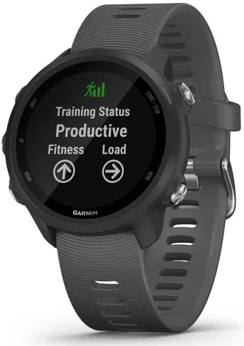 Brăţară fitness Garmin Forerunner 245 Grey (010-02120-10)