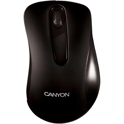 Mouse Canyon Barbone Black