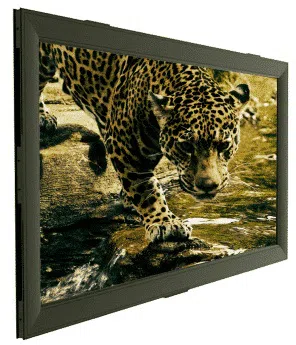 Экран для проектора Sopar Aries 8352AR 350x197cm