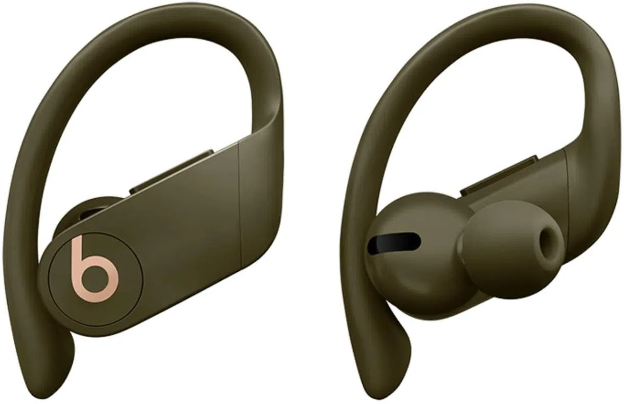 Наушники Beats Powerbeats Pro Moss 2