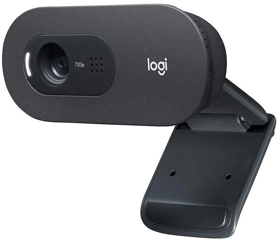 Camera Web Logitech C505e Business 2