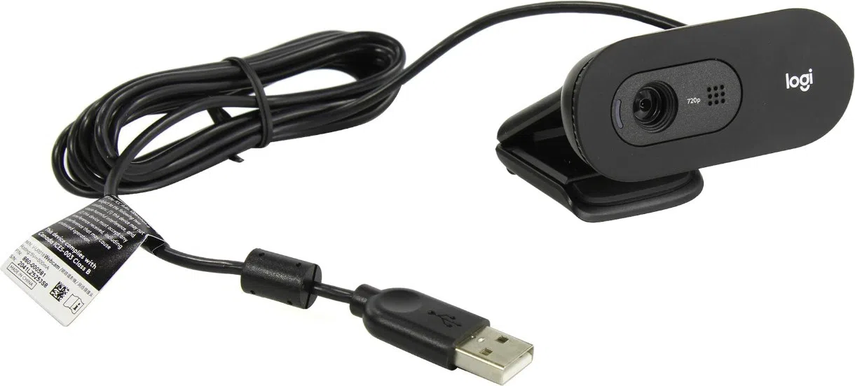 Camera Web Logitech C505 HD 4