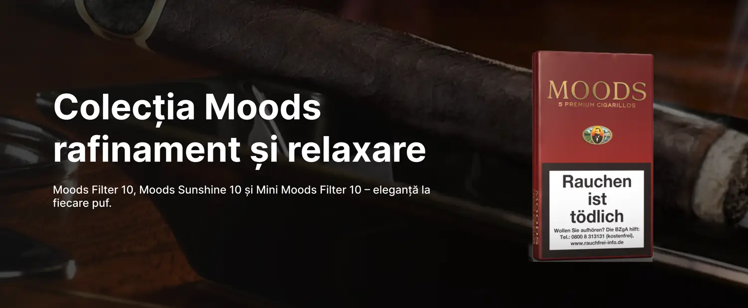 Online store for premium cigarillos, Moldova, Chișinău.