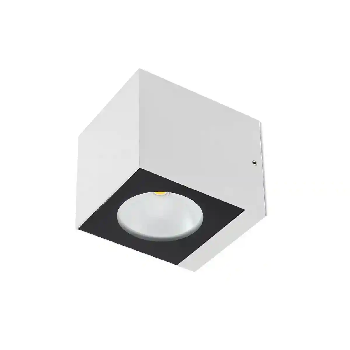 Alb Mat
