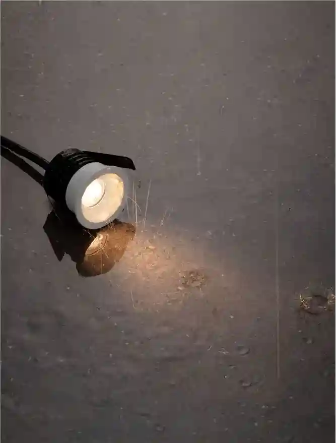 Белый