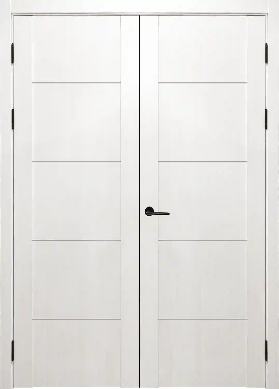 Stejar Ivory