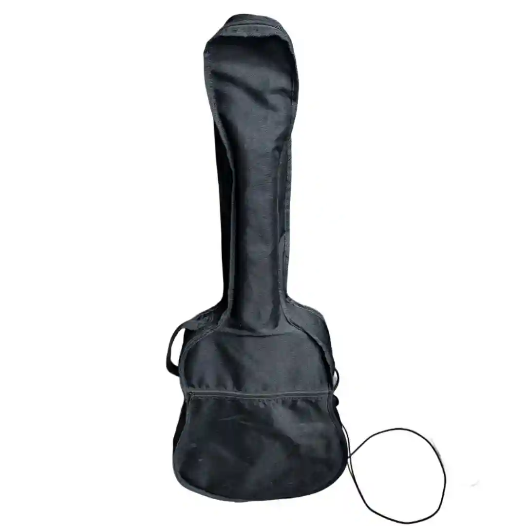 Instrumente Muzicale