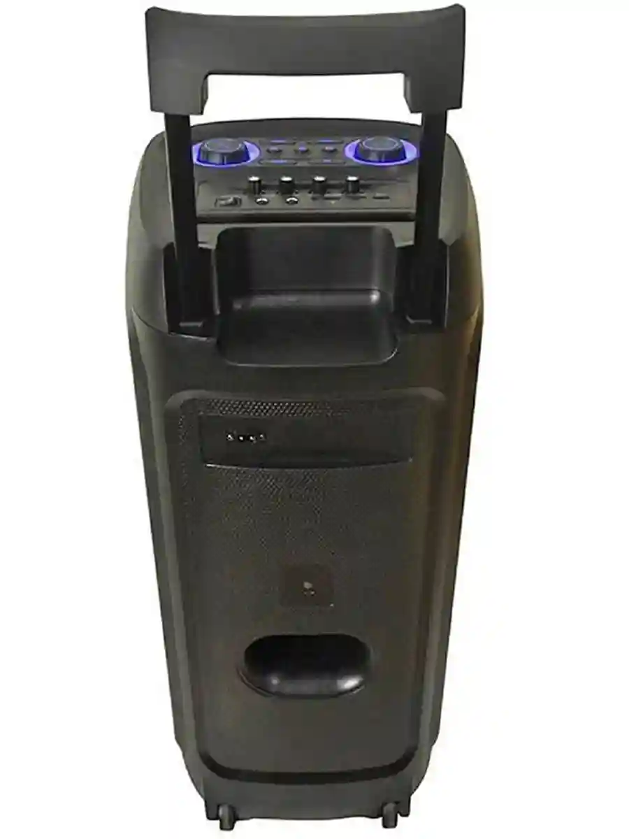 Eden Party Speaker ED-1015