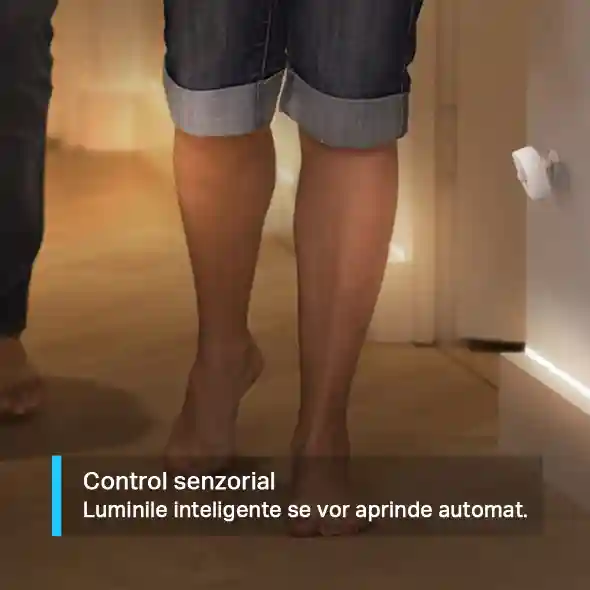 TP-Link T100 | Smart Motion Sensor