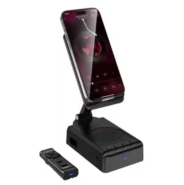 Акустическая система Hoco HC45 Wave BT, черная.