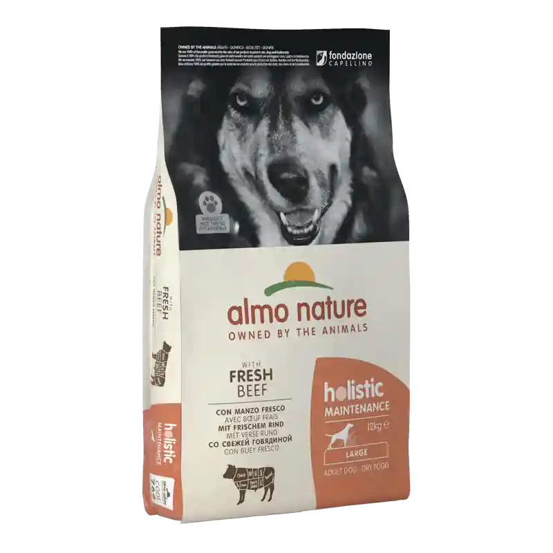 ALMO NATURE DRY Dog HOLISTIC L Beef 12kg