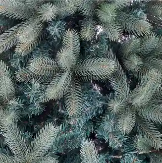 Brad Artificial GRAND ELITE 1.5m