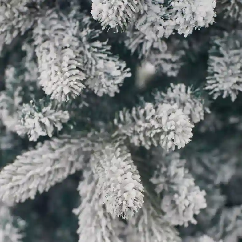 Искусственная ёлка Montblanc 2.1м