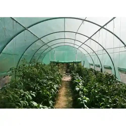 Теплица SZ-TG12325 1200х300х250 с системой полива