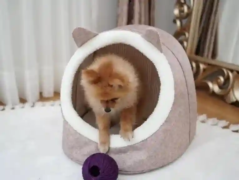 Кровать для домашнего животного 34X40X35 СМ Бежевый