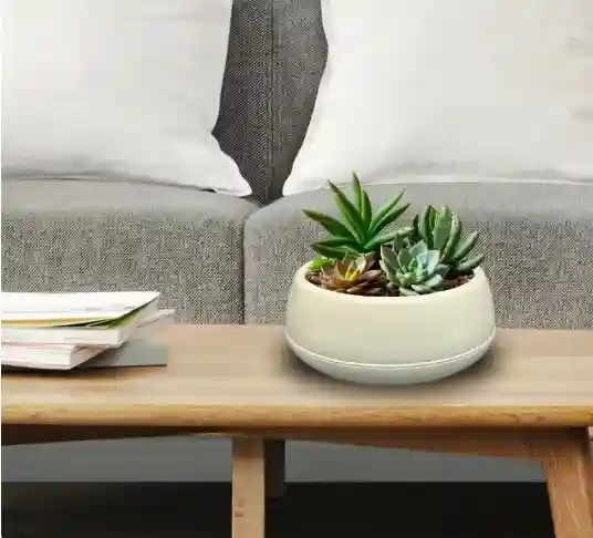 Цветочный горшок ELVAN №. 2 для аранжировок Белый