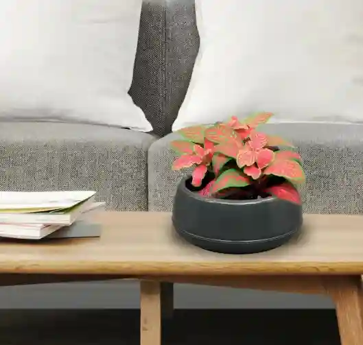 Цветочный горшок ELVAN №. 2 для аранжировок Антрацит