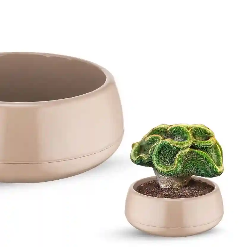 Цветочный горшок ELVAN №. 2 для аранжировок Mocha