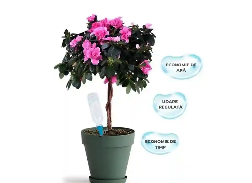 Sistem de Irigare Lenta pentru Plante