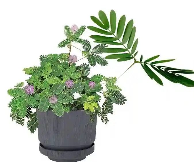 Цветочный горшок LUX №. 3 Антрацит