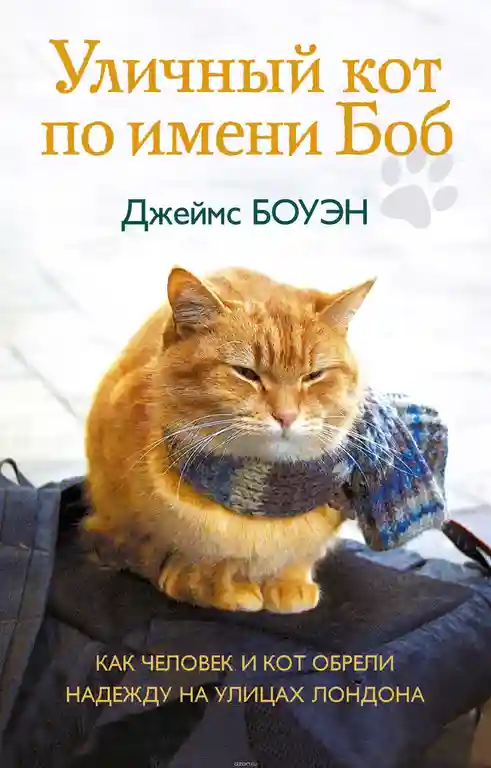 Уличный кот по имени Боб. Как человек и кот обрели надежду на улицах Лондона
