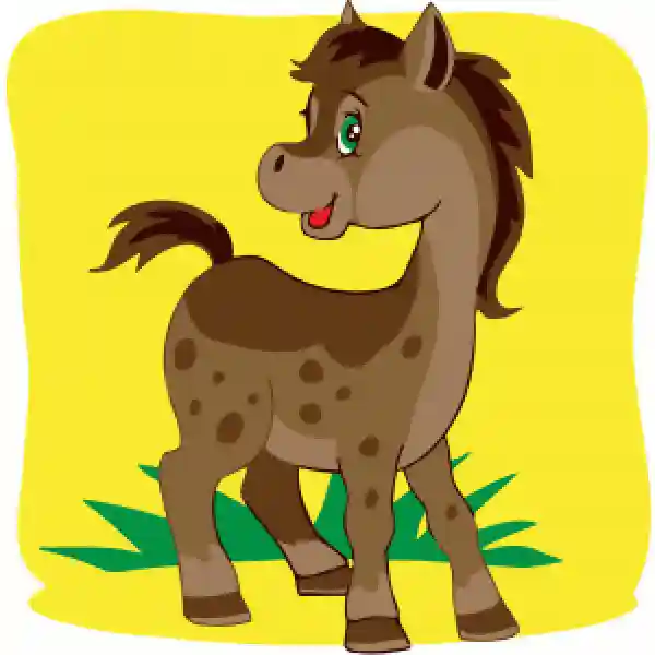 Pictura pe numere HH7056 Конячка-поні 20х20см copii