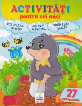 Activitati pentru cei mici Cartita