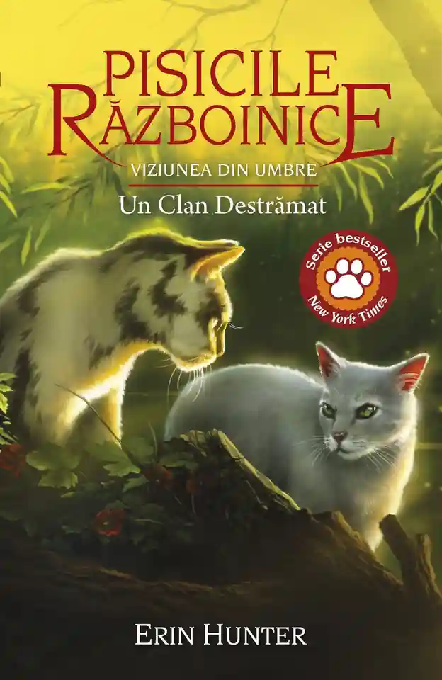 Pisicile Razboinice. vol 33 Viziunea din umbre: Un clan destramat