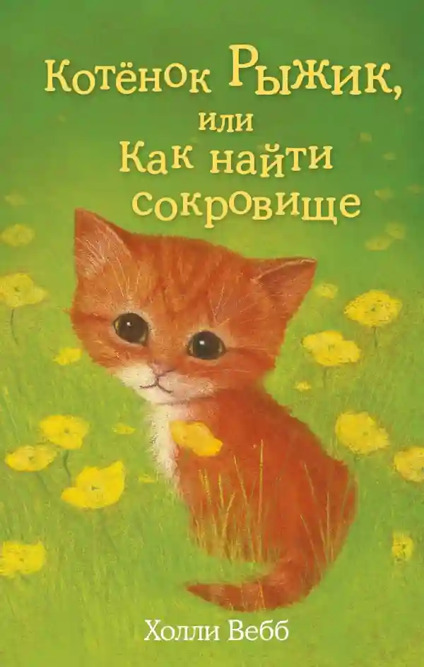 Котёнок Рыжик или Как найти сокровище