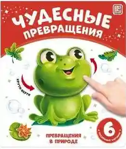 Чудесные превращения.Превращения в природе