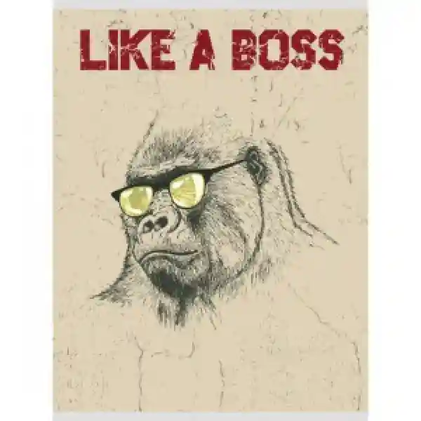 Caiet conspecte A4 48f Т4484961 Boss patr