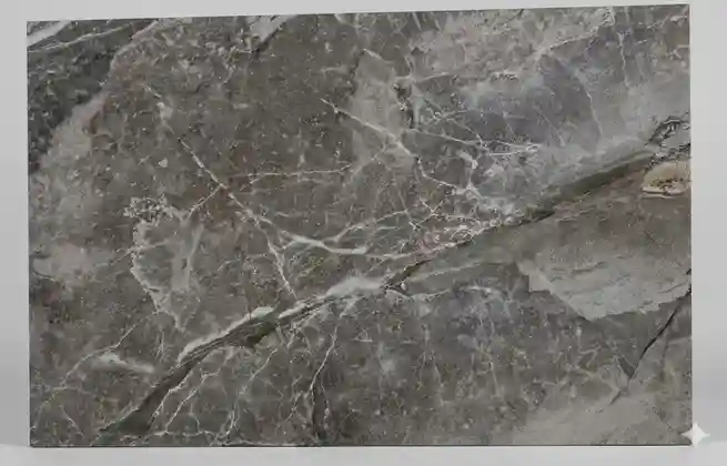 Earthcore Brown Полированный 60*120/Alice Tiles