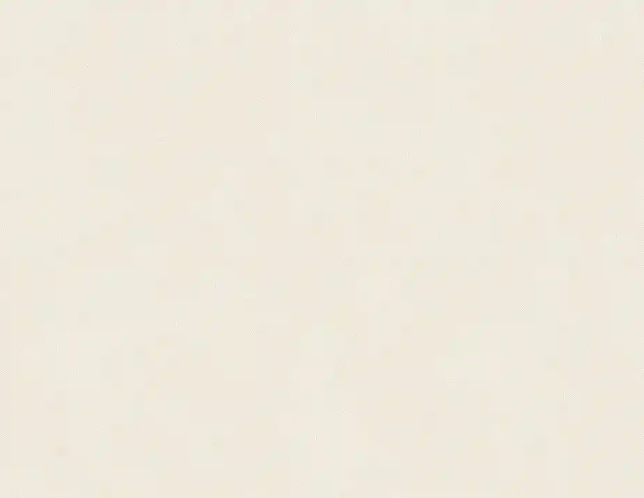 Tapete Natural Beauty 1.06m  2502171/4570901