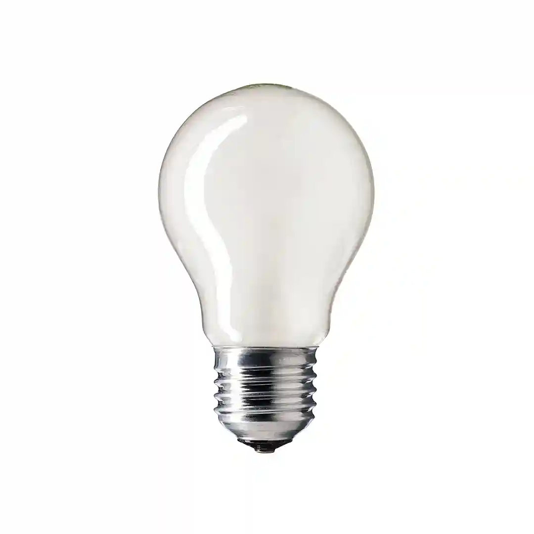 Bec incadescent A55 100W LL/52