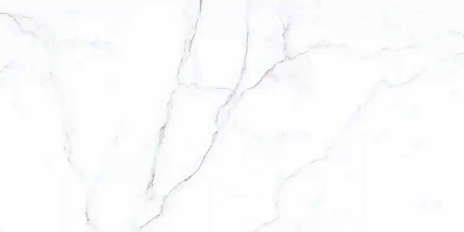 CALACATTA GRCM 60*120*8mm/Ucraina (51.84)